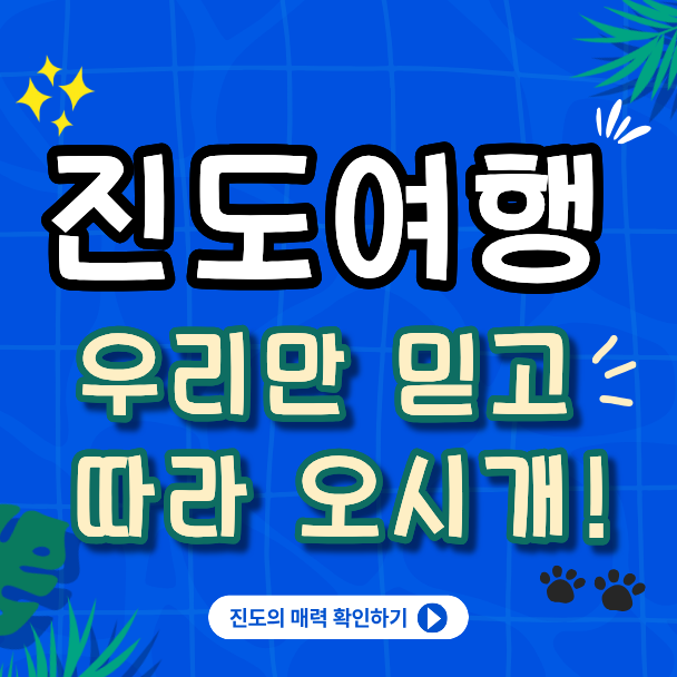 팝업 이미지