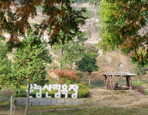 산림욕장