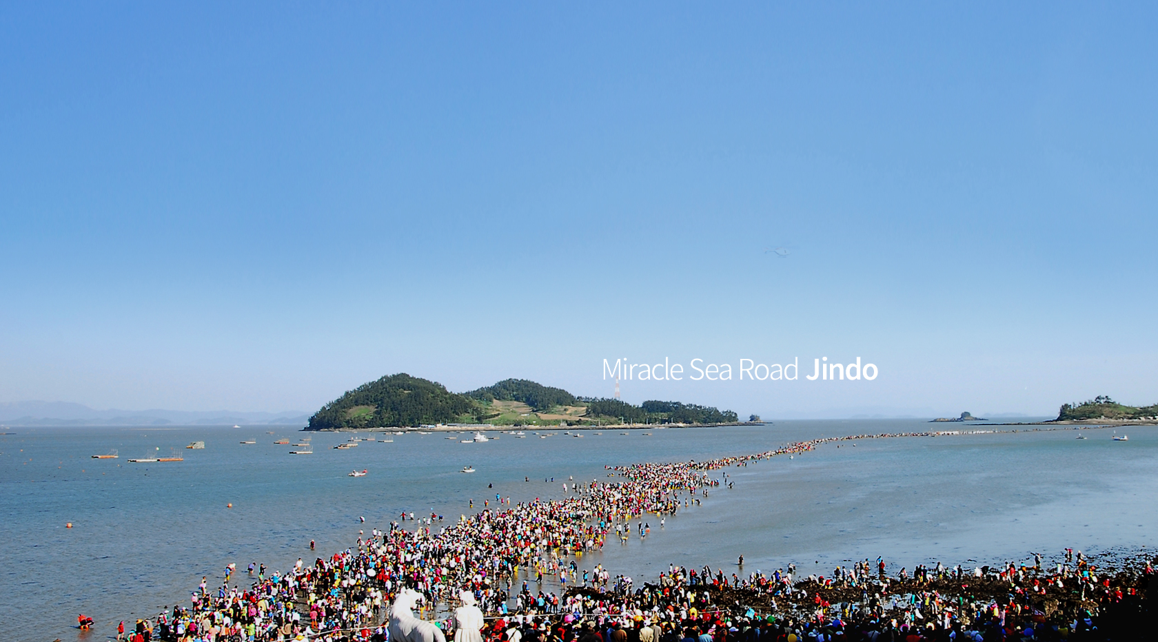 Miracle Sea Road Jindo