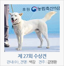 제 27회 수상견 관내(수)_견명 : 백강 견주 : 김영환