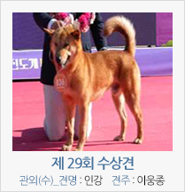 제 27회 수상견 관외(수)_견명_인강 견주 : 이웅종