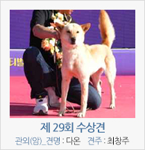 제 27회 수상견 관외(암)_견명_다온 견주 : 최창주