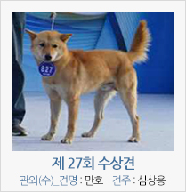 제 27회 수상견 관외(수)_견명 : 만호 견주 : 심상용