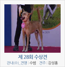제 27회 수상견 관내(수)_견명 : 수범 견주 : 강성홍