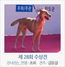 제 27회 수상견 관내(암)_견명 : 초희 견주 : 김응길