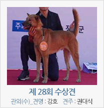 제 27회 수상견 관외(수)_견명 : 강호 견주 : 권대식