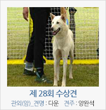 제 27회 수상견 관외(암)_견명 : 다운 견주 : 양완석