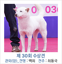 제 30회 수상견 관외(암)_견명 : 백희 견주 : 최동국