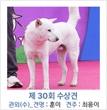 제 30회 수상견 관외(수)_견명 : 훈이 견주 : 최응이