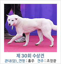 제 30회 수상견 관내(암)_견명 : 홍주 견주 : 조정광