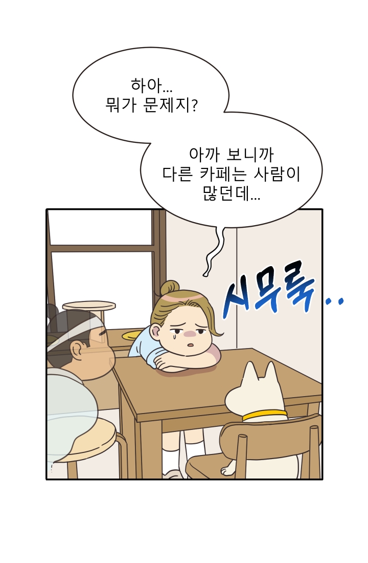 진카페 4화