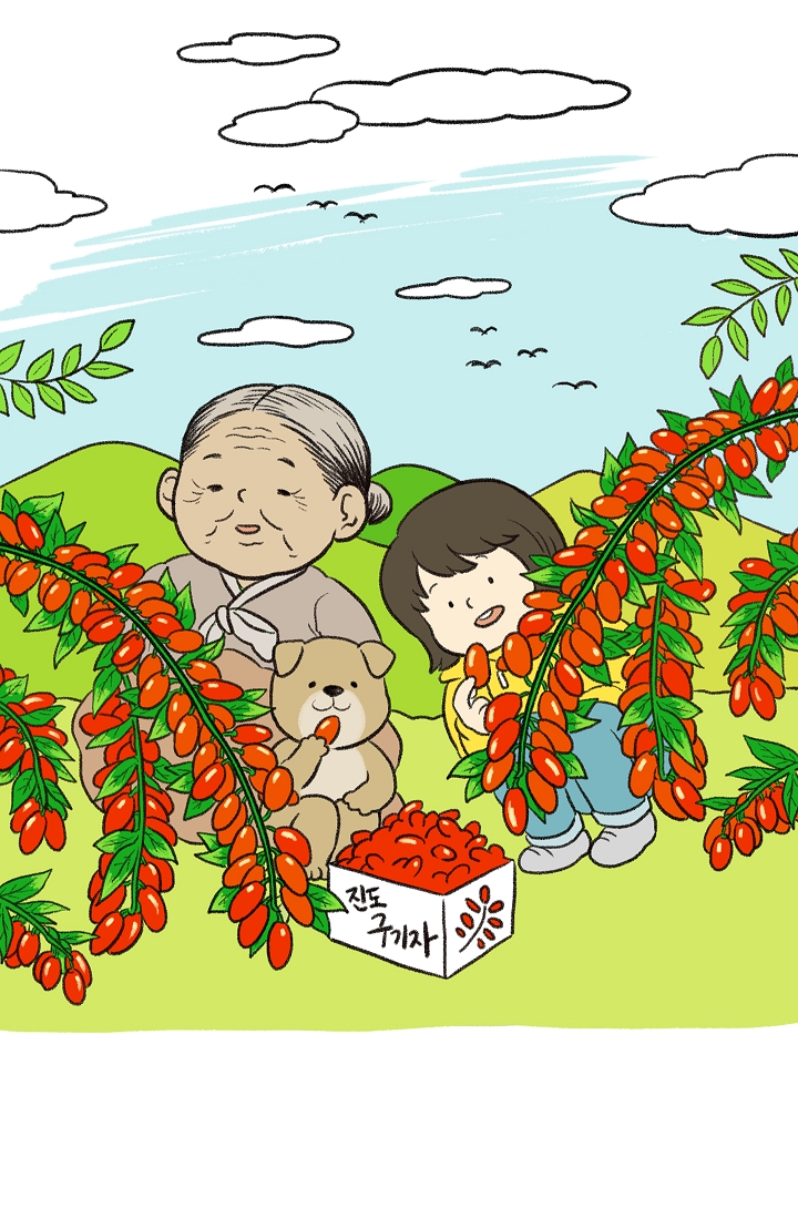 찬란한 진도민속문화 유네스코인류무형문화유산 - 진도만가