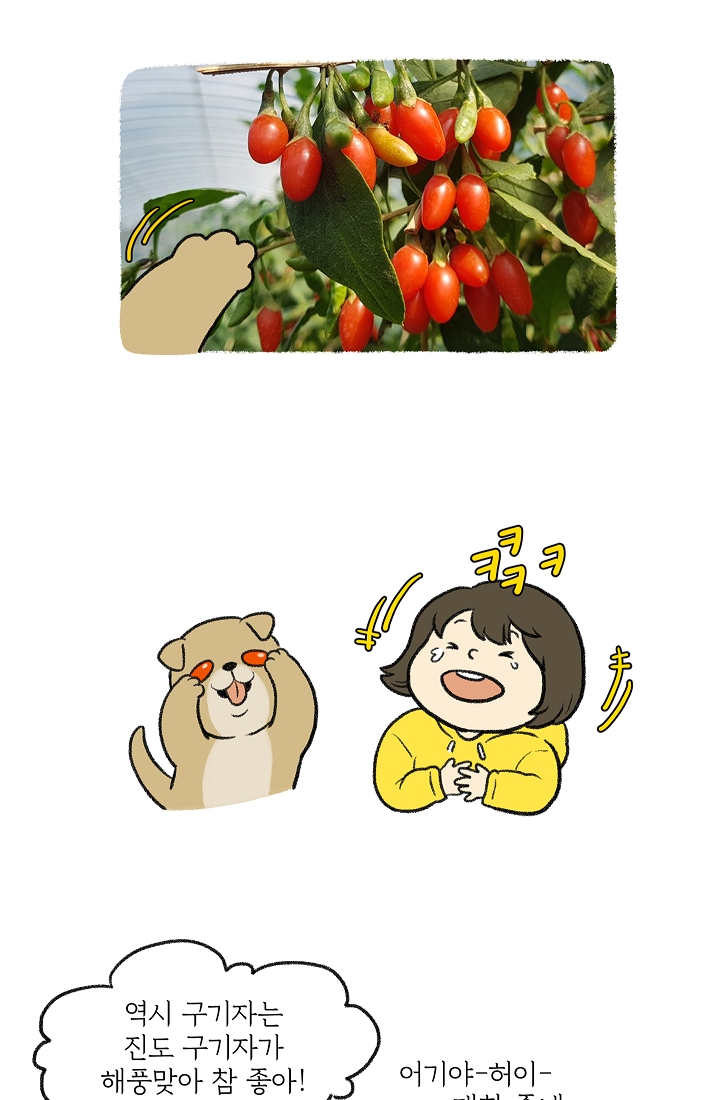 찬란한 진도민속문화 유네스코인류무형문화유산 - 진도만가