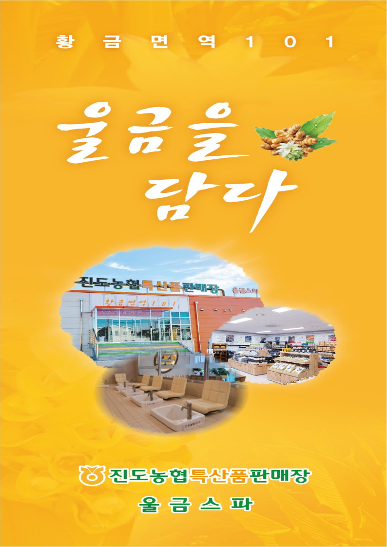 황금면역101 울금을 담다 진도농협특산품판매장 울금스파