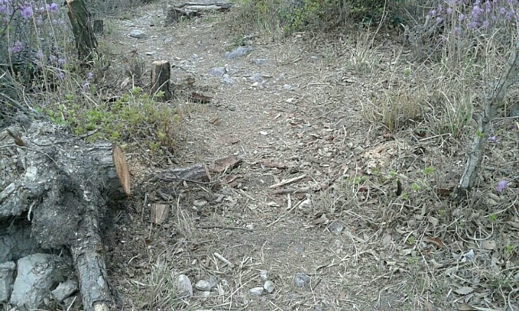 진도군청 녹색산업과에 감사드립니다. 첨부#1