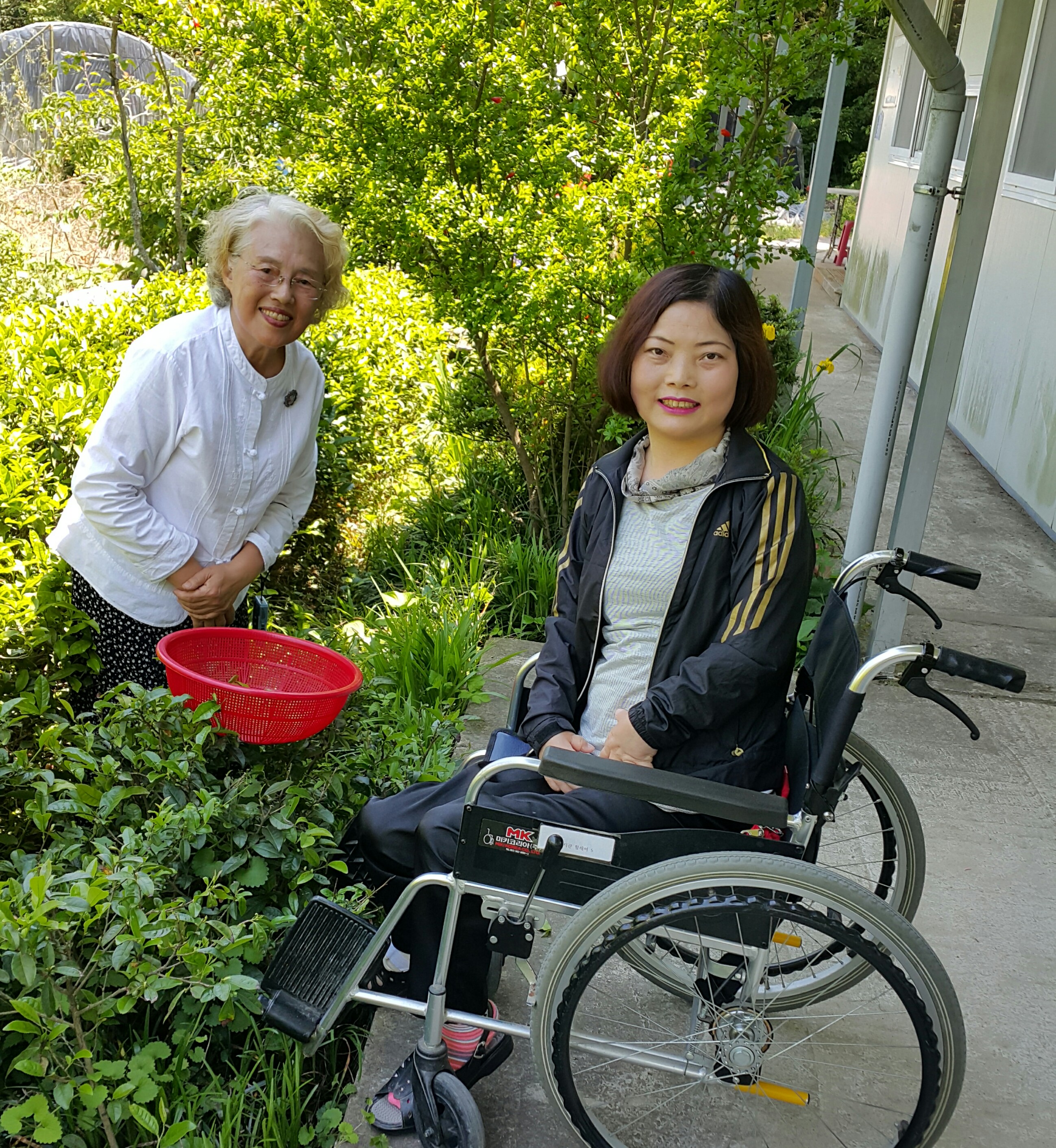 녹차체험 가서 자연과 친구했네요 첨부#3