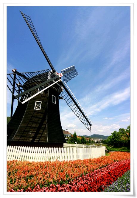 군내면사무소오기남계장님을칭찬합니다. 첨부#1