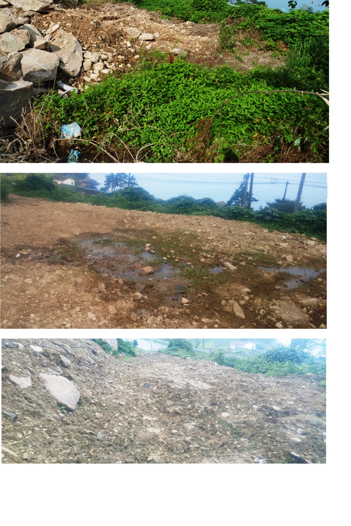 농업지원과 칭찬- 농지훼손에 대한 원상복구완료 조치 첨부#1