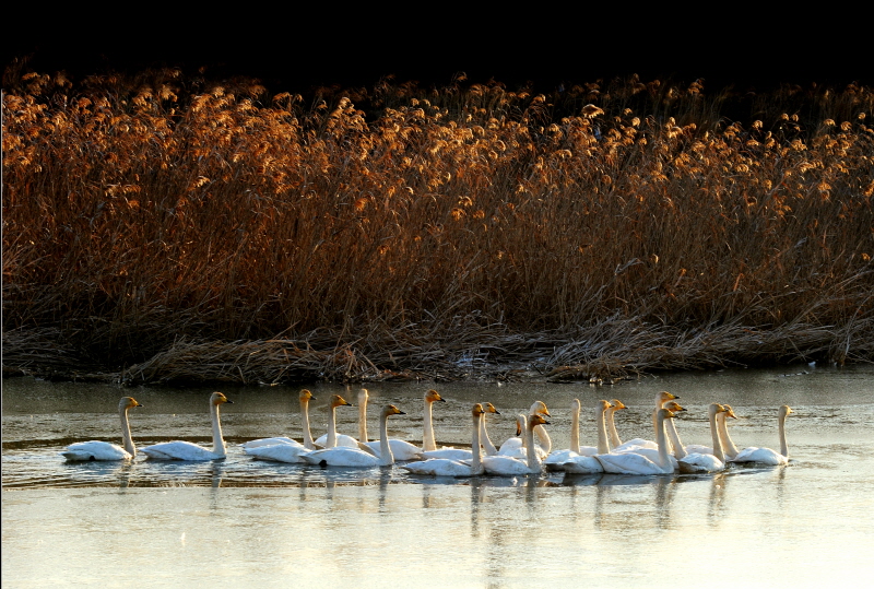 2010 관광사진 입상작(입선) 이미지