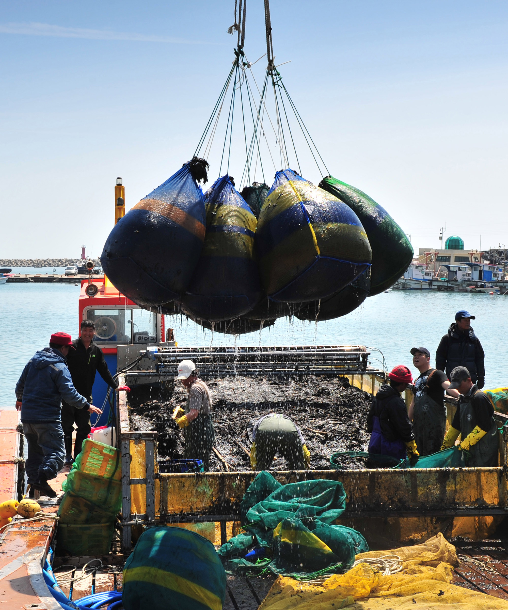 2012 진도 관광사진 전국 공모전 입선 (김하역작업) 이미지