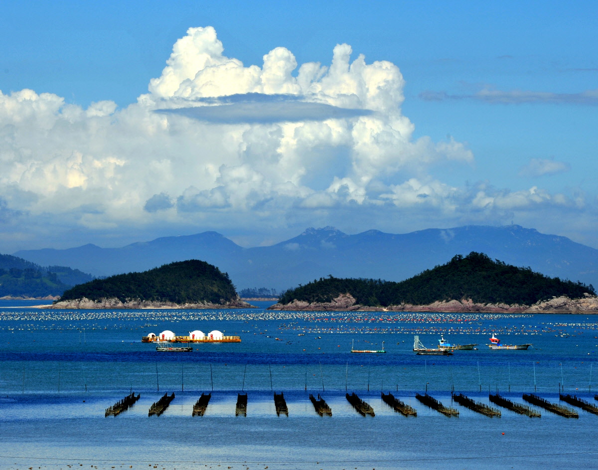 2012 진도 관광사진 전국 공모전 입선 (바다내음) 이미지