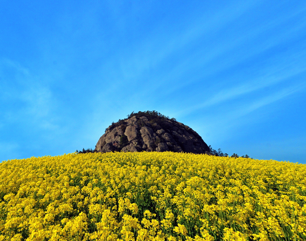 2013 진도 전국 사진 공모전 입선(독굴산의 봄) 이미지