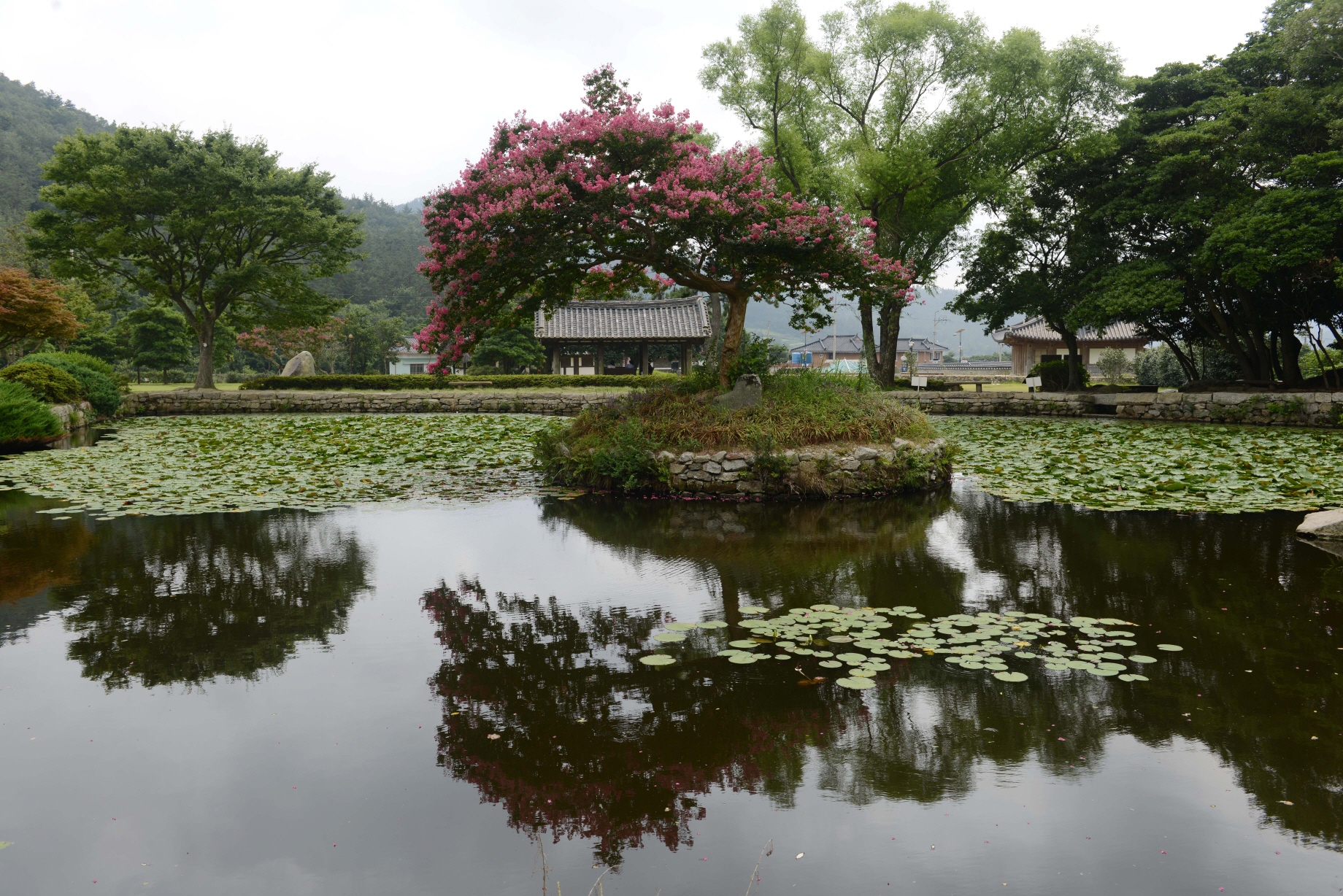 2013 진도 전국 사진 공모전 은상(운림산방) 이미지