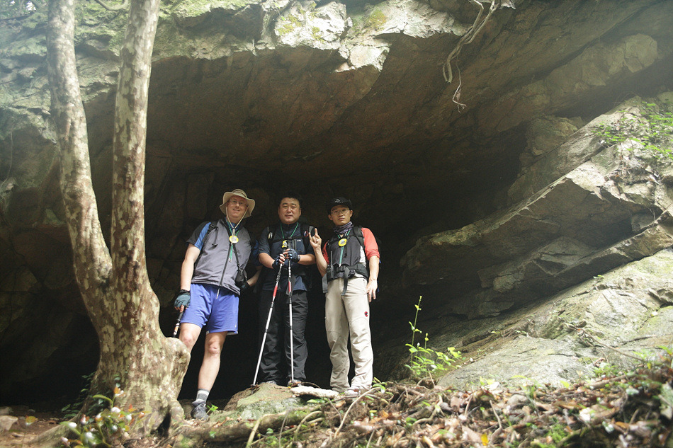 연리목(連理木) (사랑 이야기) 이미지