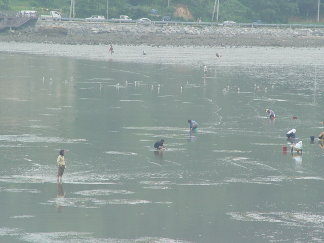 청용안 개매기 체험장 이미지