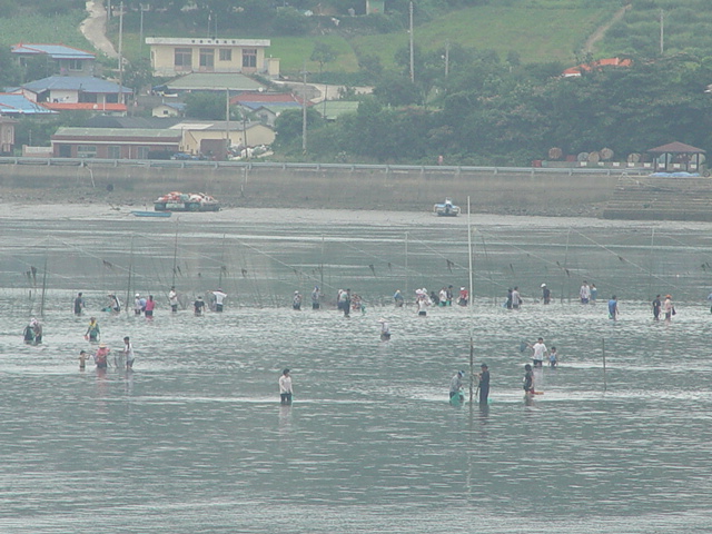청용안 개매기 체험장 첨부#4
