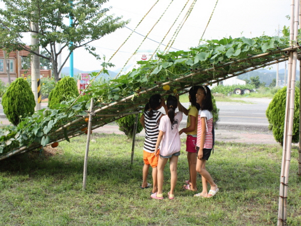 군내면 미니호박, 수세미 등 넝쿨식물 자연체험학습장 놀러오세요~!! 이미지