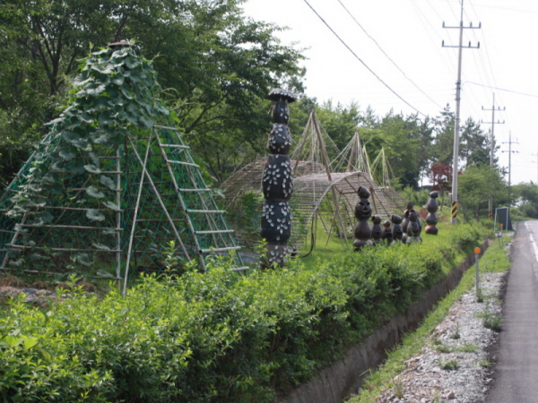 군내면 미니호박, 수세미 등 넝쿨식물 자연체험학습장 놀러오세요~!! 첨부#2