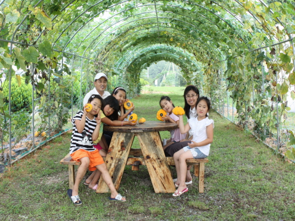 군내면 미니호박, 수세미 등 넝쿨식물 자연체험학습장 놀러오세요~!! 첨부#4