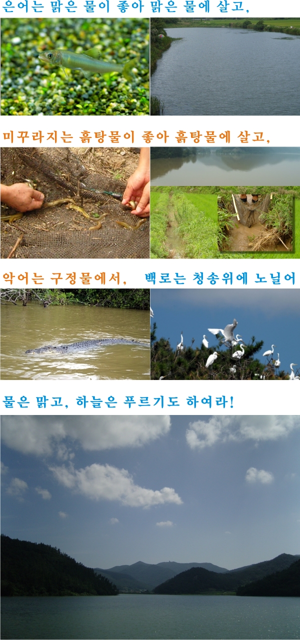 환경과 안전을 위협하는 불법 광고물 대책을.. 첨부#2