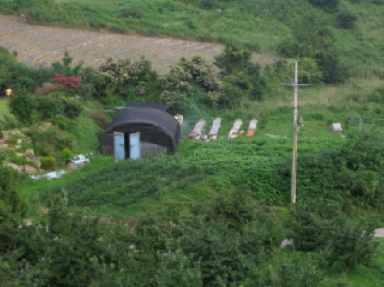 등산로에 있는집 첨부#4