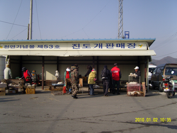 진도읍 5일장 첨부#5