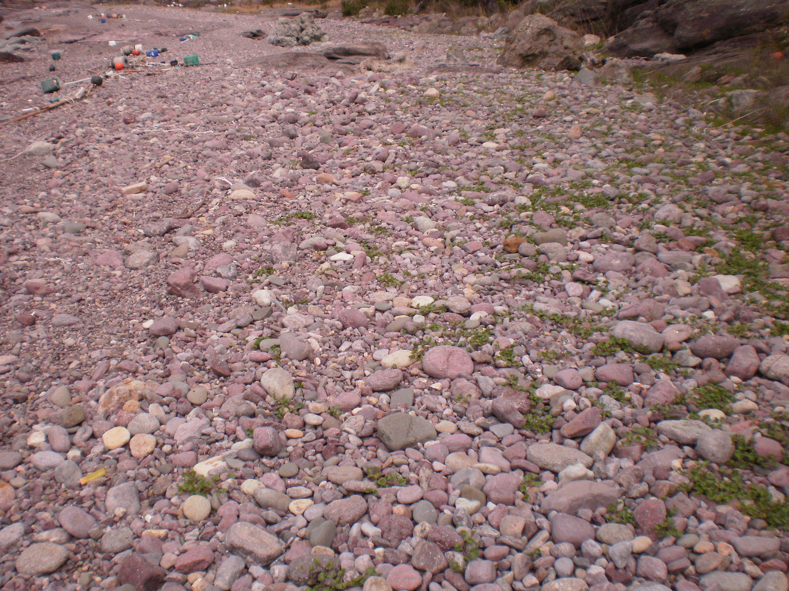 바다가 쓰레기 처리 주기적으로 처리요망. 첨부#4