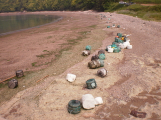 접도 웰빙등산로 바닷가. 이미지