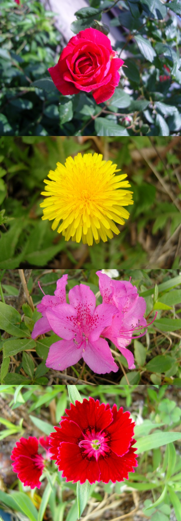 도넘은 경찰 비리 첨부#5