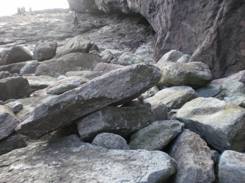 접도 웰빙등산로 태풍 피해현장.(곤파스) 첨부#5