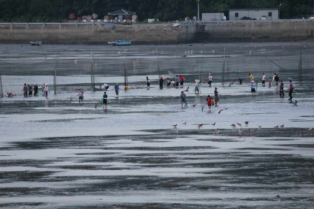 자연과 사람들 이미지