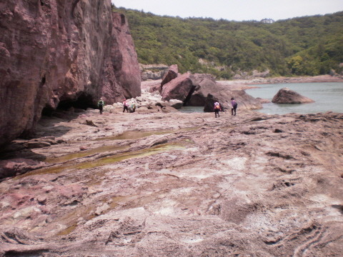 곤파스 태풍피해현장 이미지