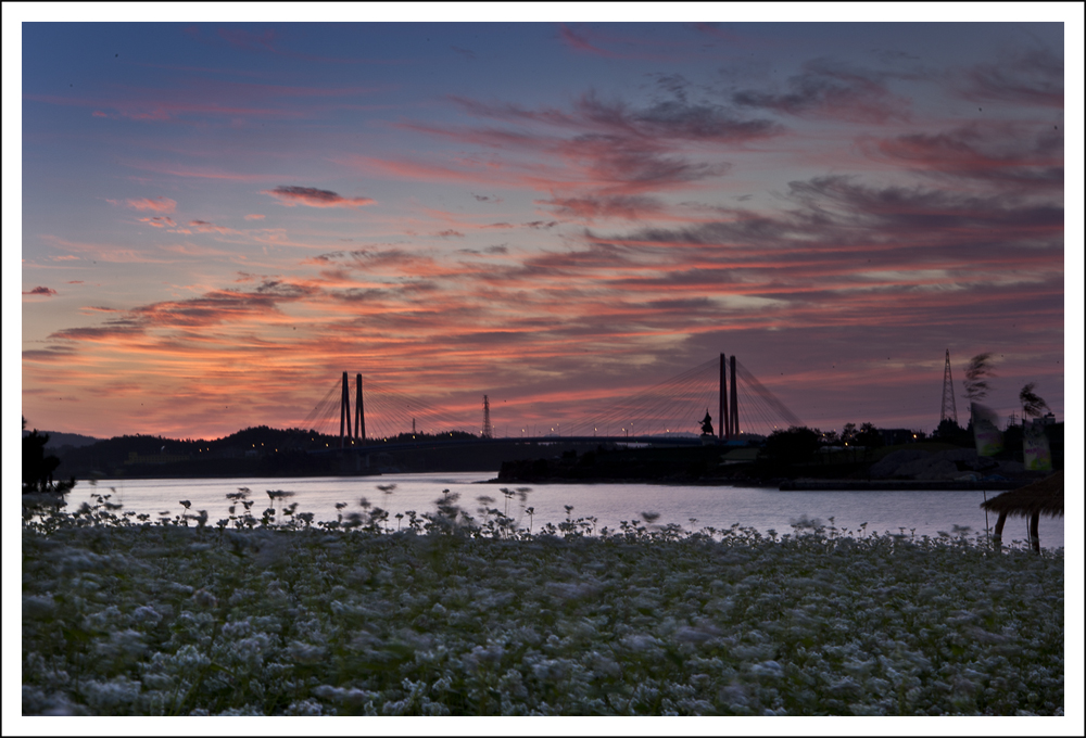 진도대교 이미지