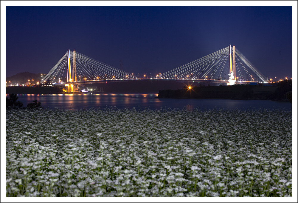 진도대교 첨부#3