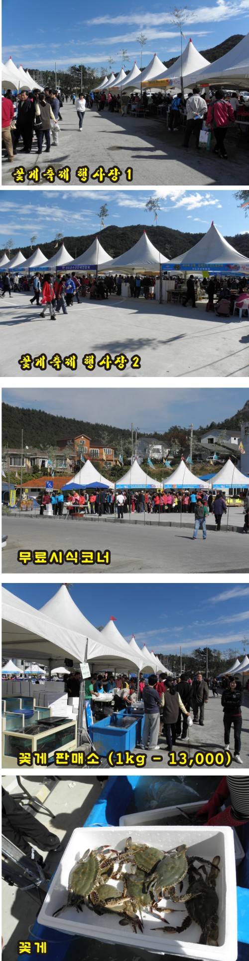 제1회 진도 꽃게 축제 이미지