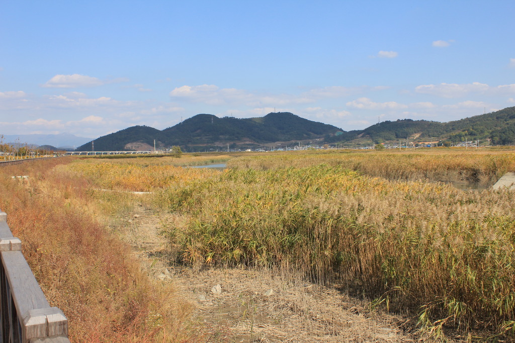 축제가 끝난 순천만에는 이미지