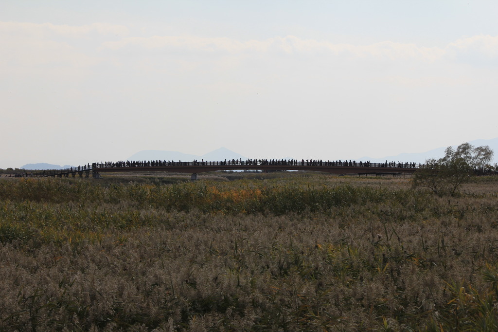 축제가 끝난 순천만에는 첨부#2