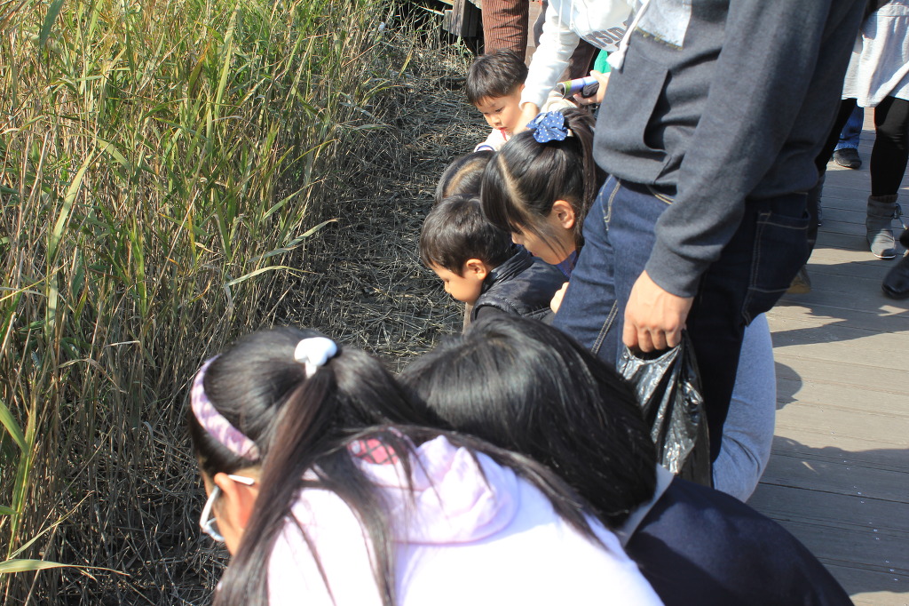 축제가 끝난 순천만에는 첨부#5
