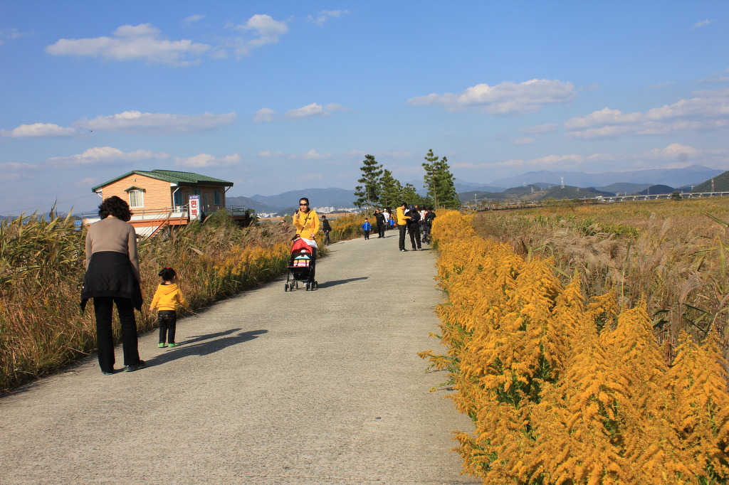 축제가 끝난 순천만에는 첨부#6