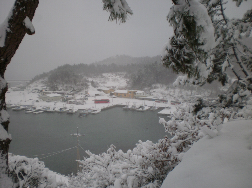 2011년1월1일 접도웰빙등산로 설경. 첨부#4